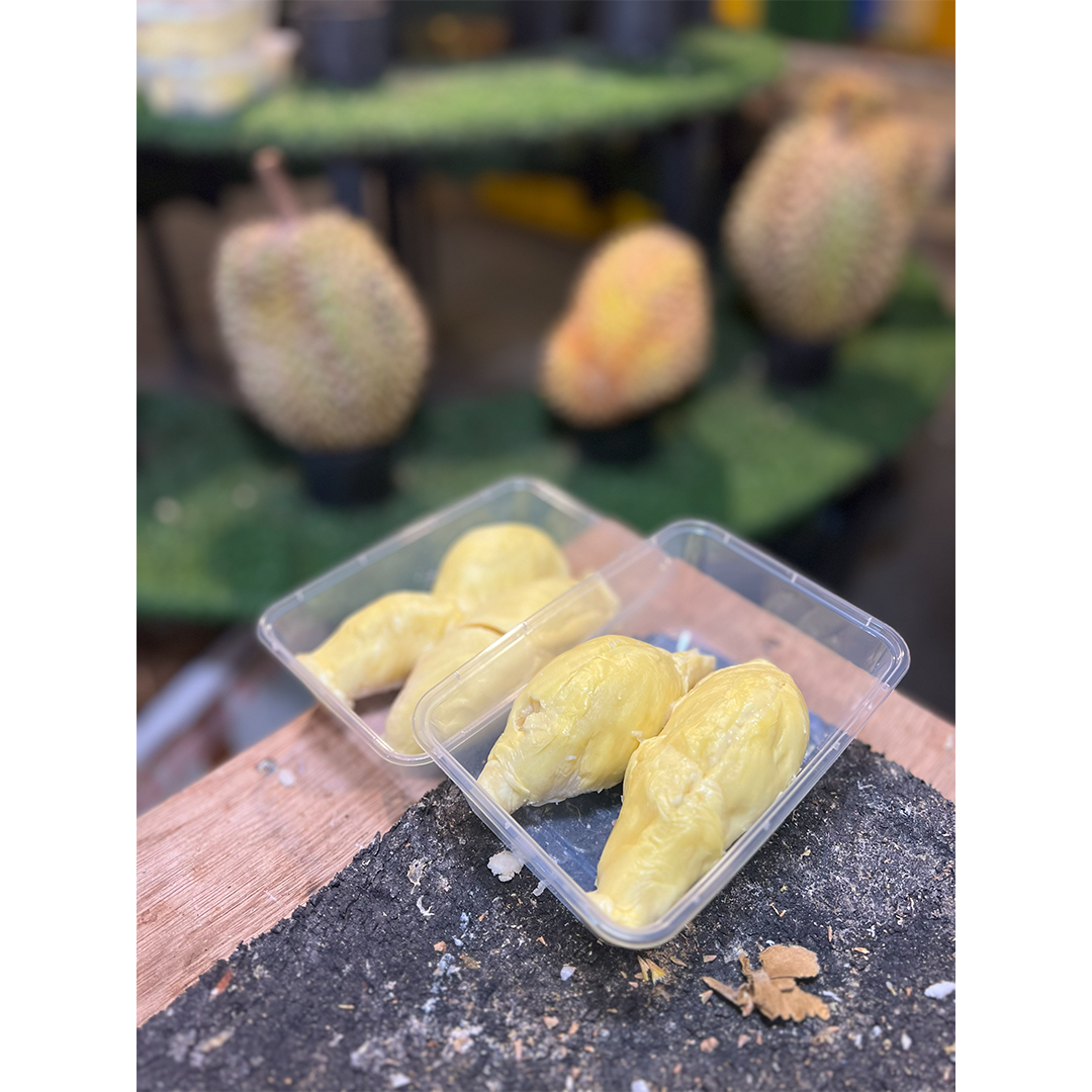 Durian Montong Fresh